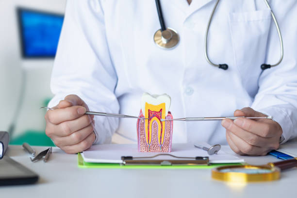 Best Tooth Pain Emergency Relief  in Maysville, OK